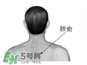 三伏貼能治過敏性鼻炎嗎？三伏貼治過敏性鼻炎貼哪里？