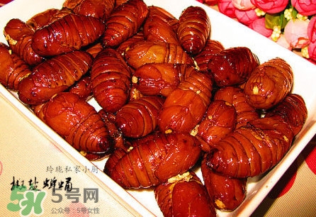 蟬蛹可以保存多長(zhǎng)時(shí)間？蟬蛹冰凍起來能保存多久
