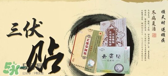 三伏貼能減肥嗎？三伏貼怎么貼貼哪里可以減肥