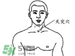 三伏貼能治過敏性鼻炎嗎？三伏貼治過敏性鼻炎貼哪里？