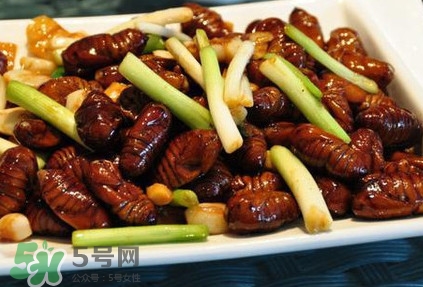 孕婦可以吃蟬蛹嗎？懷孕吃蟬蛹有沒有副作用