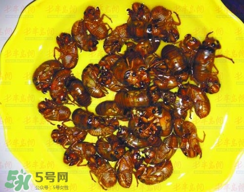 知了猴能淹死嗎？知了猴哪個(gè)部位不能吃？