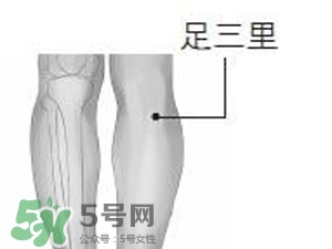三伏貼能治過敏性鼻炎嗎？三伏貼治過敏性鼻炎貼哪里？