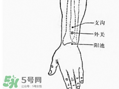 三伏貼能治過敏性鼻炎嗎？三伏貼治過敏性鼻炎貼哪里？