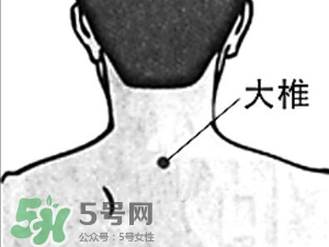 三伏貼能治過敏性鼻炎嗎？三伏貼治過敏性鼻炎貼哪里？
