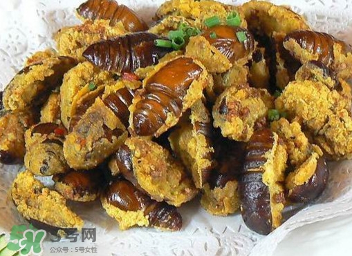 水煮蟬蛹怎么做？蟬蛹煮多久可以熟？