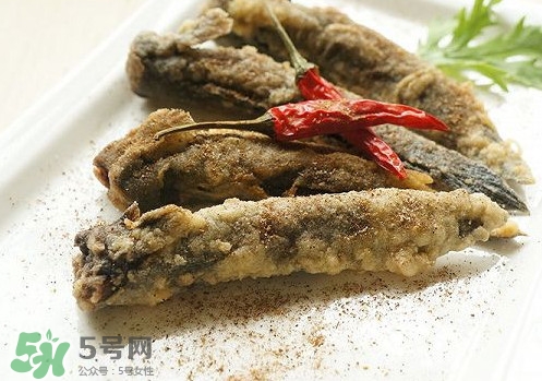 彈涂魚是兩棲動(dòng)物嗎？彈涂魚營(yíng)養(yǎng)價(jià)值有哪些