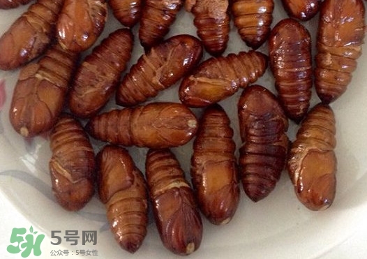 蟬蛹吃什么部位？蟬蛹都有哪些營養(yǎng)價(jià)值