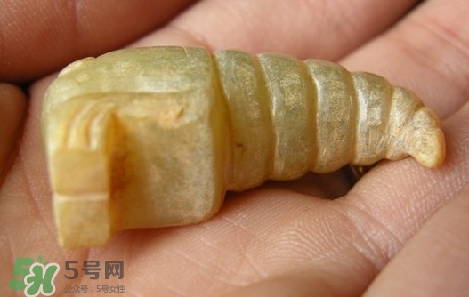 蟬蛹能吃嗎？蟬蛹怎么做好吃