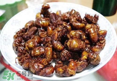 蟬蛹什么人不能吃？蟬蛹不能和什么一起吃