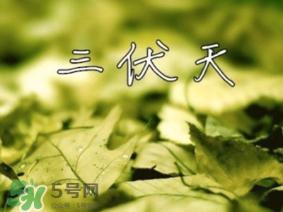 三伏天怎么坐月子？三伏天坐月子要注意什么？