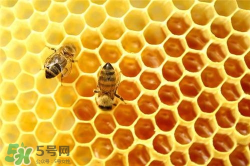 三伏貼能治過敏性鼻炎嗎？三伏貼治過敏性鼻炎貼哪里？