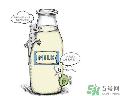 巴氏奶可以加熱嗎？巴氏奶常溫能放多久