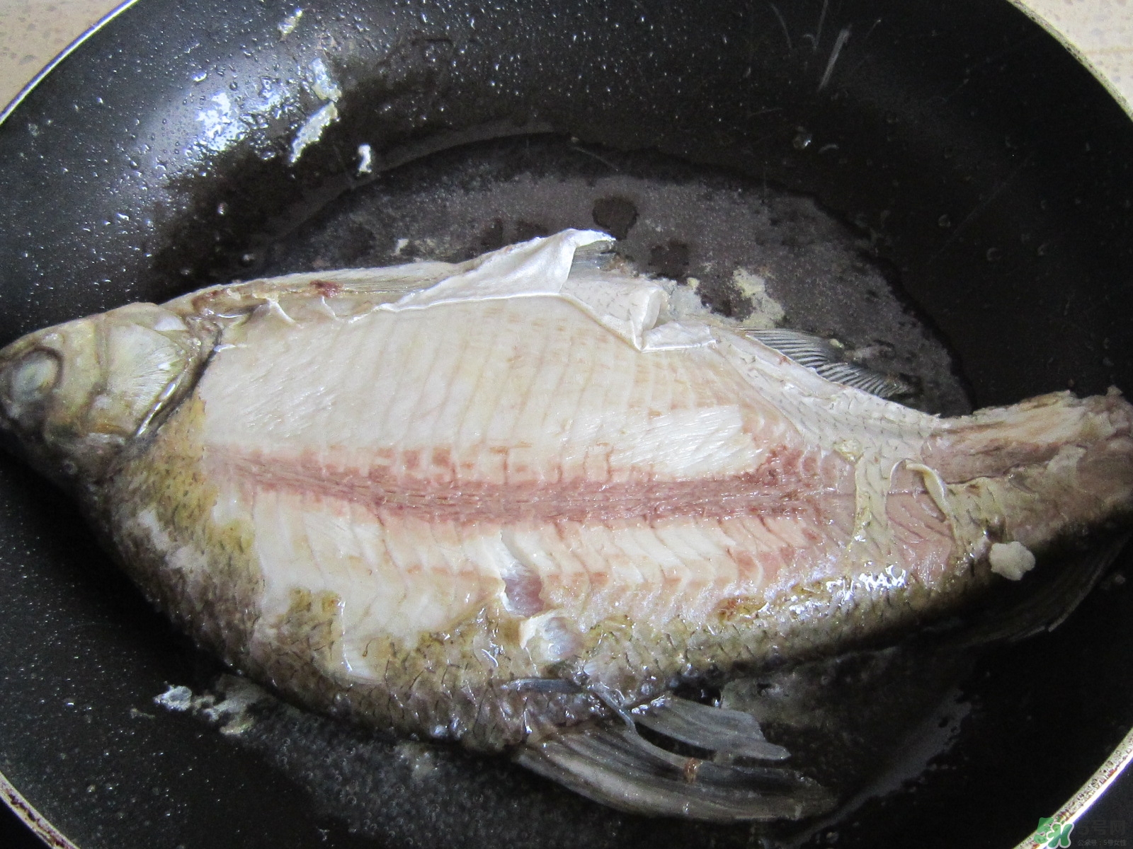 三伏灸可以吃魚嗎？三伏灸可以吃什么魚？