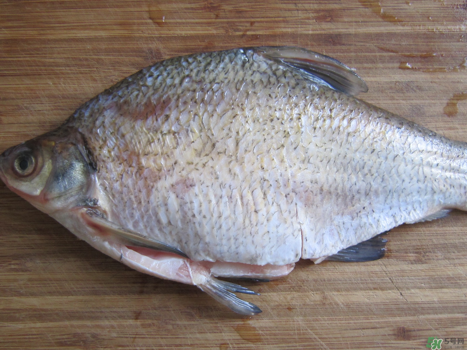 三伏灸可以吃魚嗎？三伏灸可以吃什么魚？