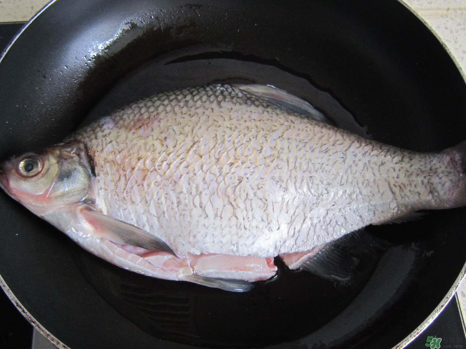 三伏灸可以吃魚嗎？三伏灸可以吃什么魚？