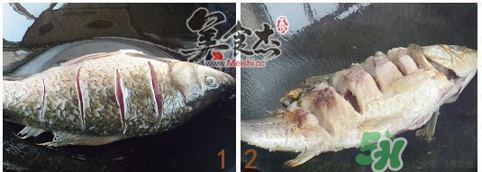 三伏灸可以吃魚嗎？三伏灸可以吃什么魚？