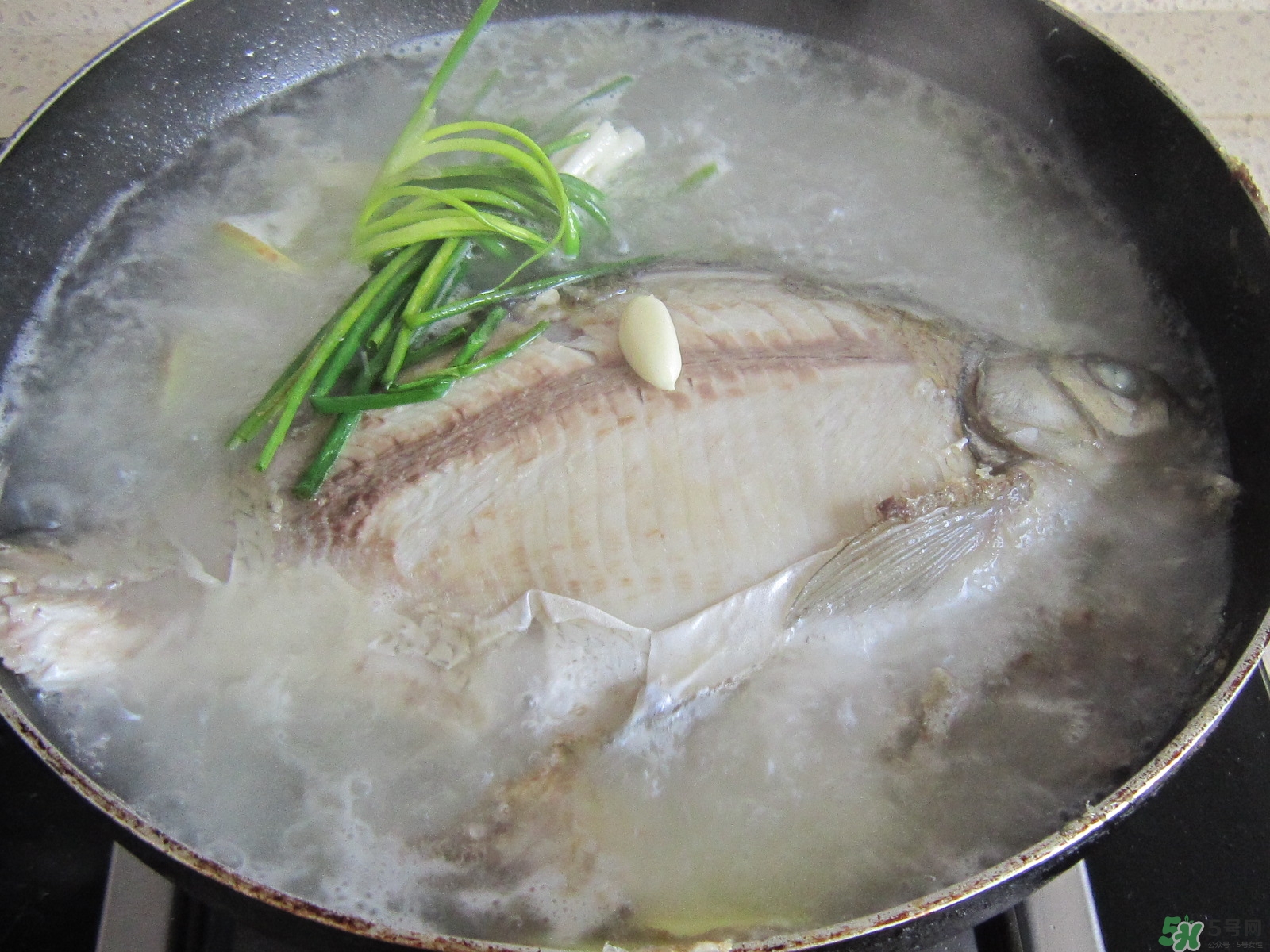 三伏灸可以吃魚嗎？三伏灸可以吃什么魚？