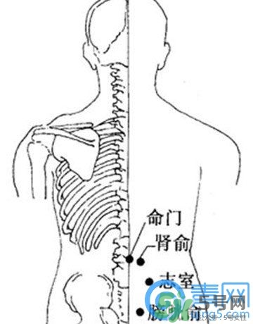 三伏灸可以治腰腿痛嗎？三伏灸治腰腿痛灸哪里》