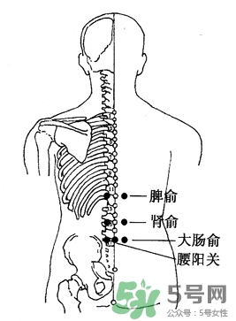 三伏灸可以治腰腿痛嗎？三伏灸治腰腿痛灸哪里》