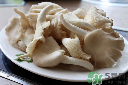 平菇怎么吃最有營養(yǎng)？平菇長白毛還能吃嗎