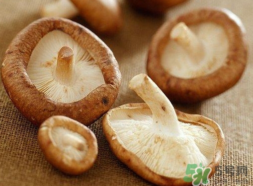 買香菇怎么挑選？干香菇怎么挑選？
