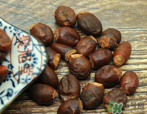 龍眼核能種嗎？龍眼核怎么種盆栽