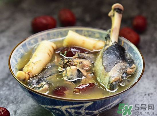 三伏天可以吃人參嗎？三伏天吃人參好嗎？