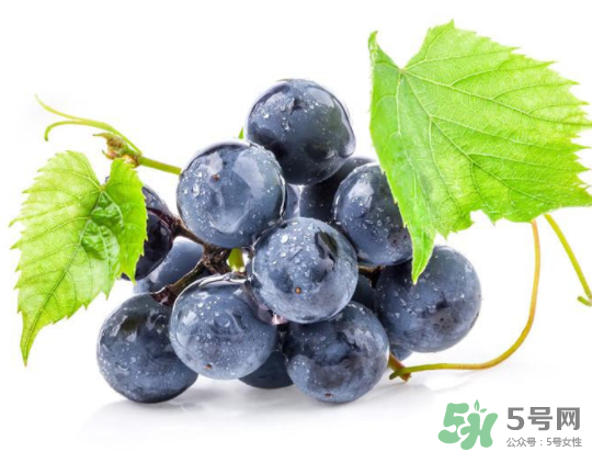 夏黑葡萄為什么掉色？夏黑葡萄怎么會(huì)染色？