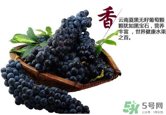 夏黑葡萄怎么保存？夏黑葡萄可以放冰箱嗎？
