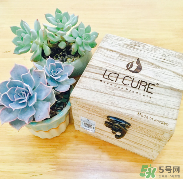 天然死海礦物泥面膜怎么樣？天然死海礦物泥面膜好用嗎？