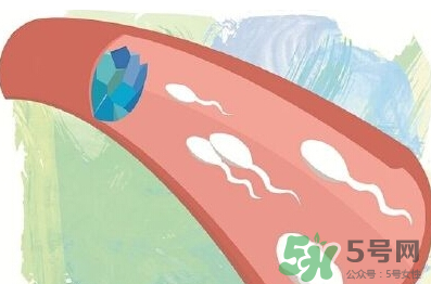 男性避孕藥什么牌子好？男性避孕藥多少錢一盒？