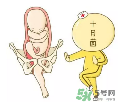 胎位不正能順產(chǎn)嗎？胎位不正怎么辦？