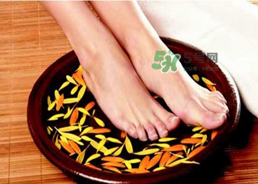 三伏天能用姜泡腳嗎？三伏天用姜泡腳好嗎？