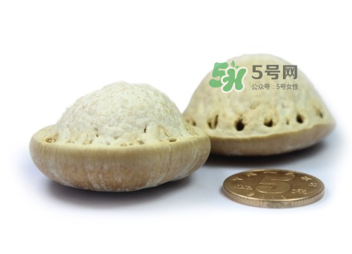 風(fēng)流果泡酒要不要敲碎？壯陽(yáng)果泡水要不要敲碎？