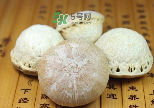 風(fēng)流果泡酒要不要敲碎？壯陽(yáng)果泡水要不要敲碎？