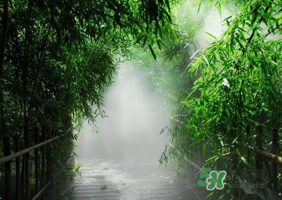 2017大暑會不會下雨？2017大暑下雨好嗎？