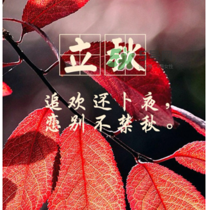立秋后就是秋天了嗎？立秋后就涼快了嗎？