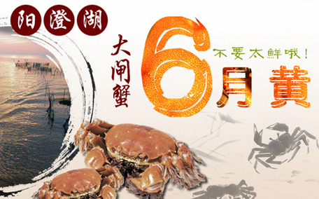 六月黃大閘蟹好吃嗎？六月黃和大閘蟹有什么區(qū)別？