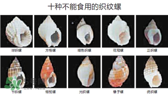 哪些人不能吃田螺？哪些田螺不能吃