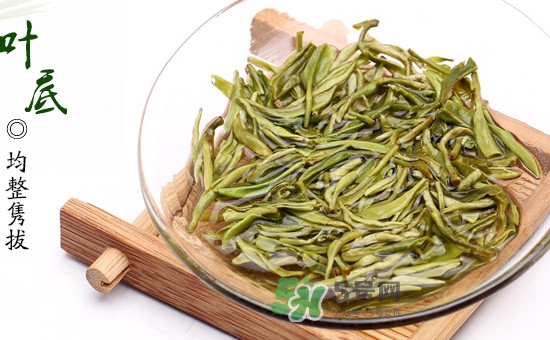 碧螺春是不是有很多絨毛？碧螺春的原產地是哪里
