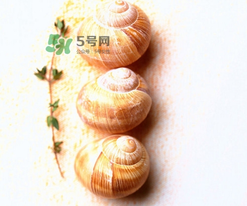 田螺是寒性的嗎？田螺煮多久殺死寄生蟲