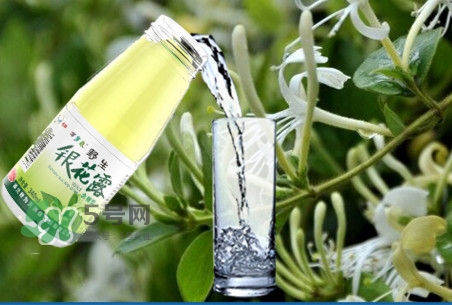 金銀花露是涼性的嗎？喝金銀花露有什么好處