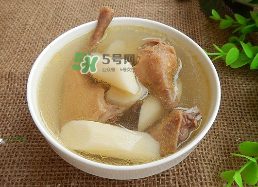 三伏天能吃鴿子嗎？三伏天能喝鴿子湯嗎？