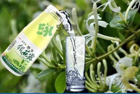 金銀花露可以冷藏嗎？金銀花露能放冰箱嗎？