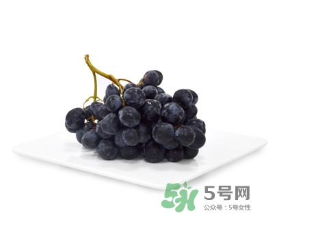 黑提有籽嗎？黑提是什么季節(jié)的水果