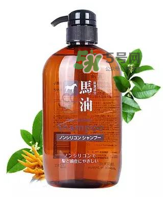 熊野馬油洗發(fā)水起頭屑嗎？KUMANO洗發(fā)水用完長頭屑嗎？