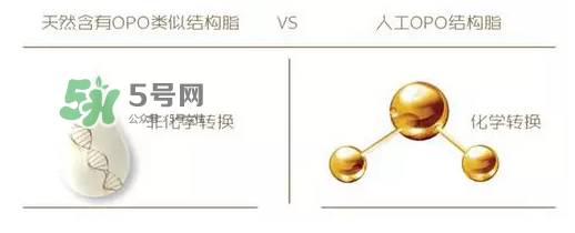 奶粉里面的OPO是什么？opo是天然的還是后期添加的？