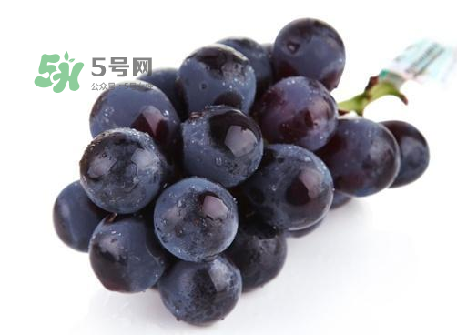 巨峰葡萄是酸性還是堿性？巨峰葡萄是堿性的嗎？