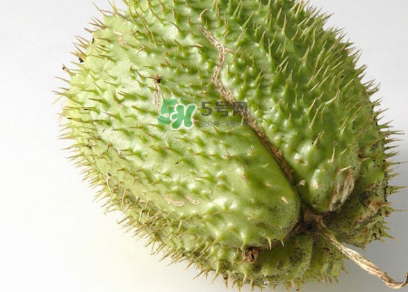 刺果番荔枝多少錢一斤？刺果番荔枝哪里有賣？